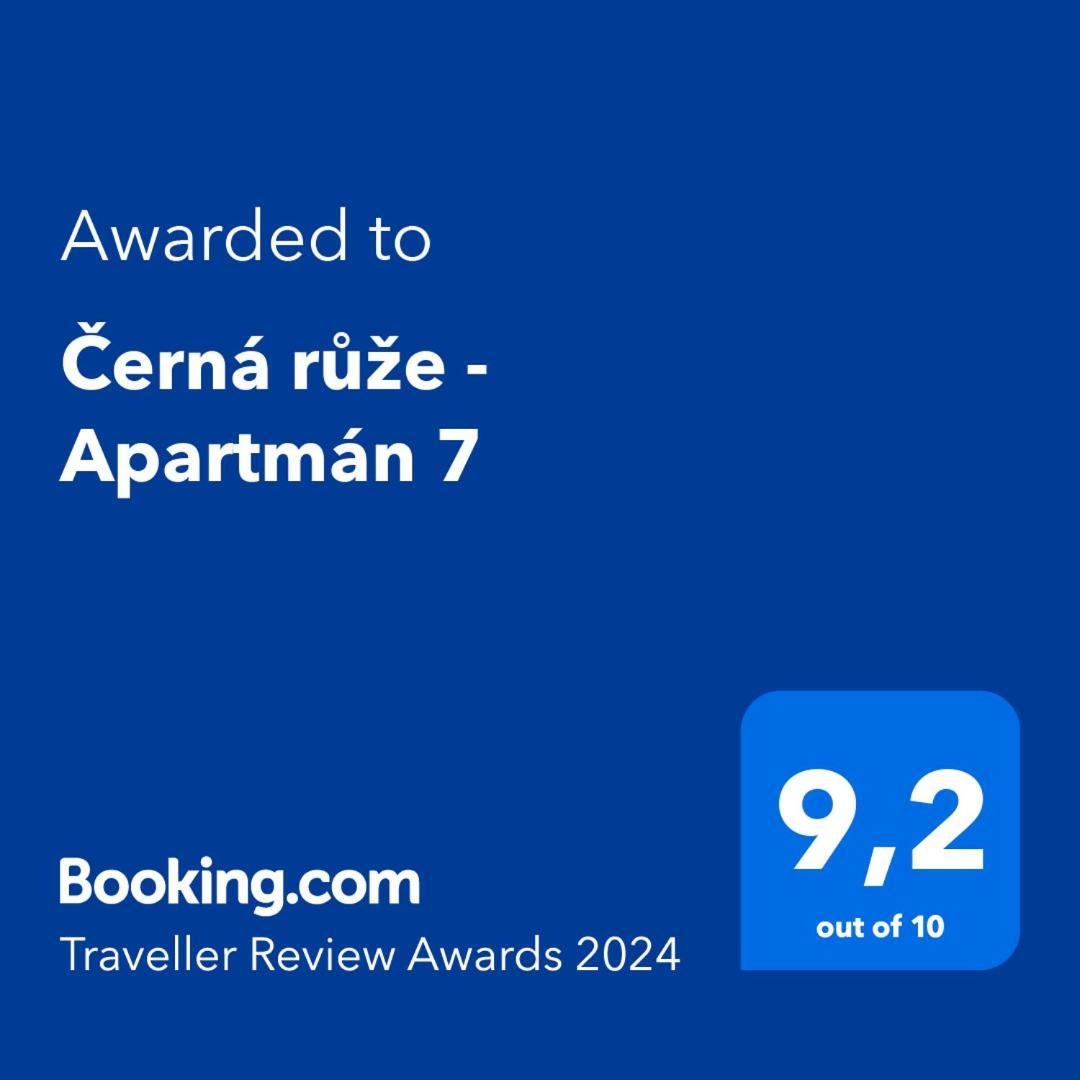 Cerna Ruze - Apartman 7 Plzeň Exteriér fotografie
